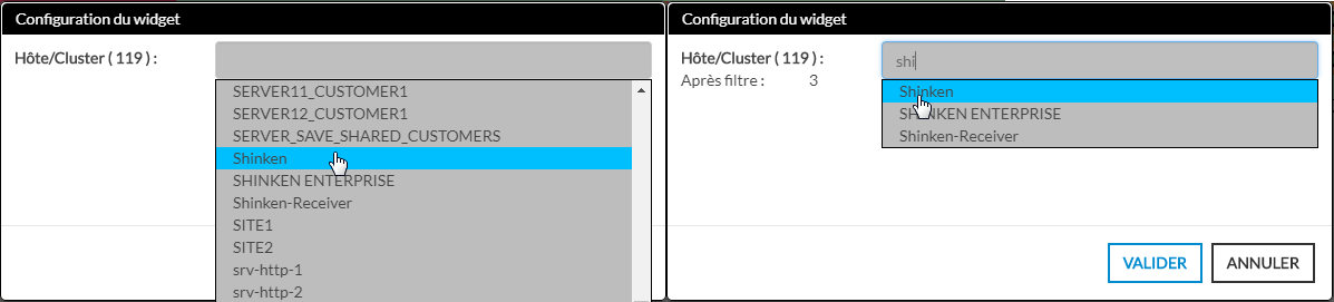 04-01-widget-sla-config-host2.png